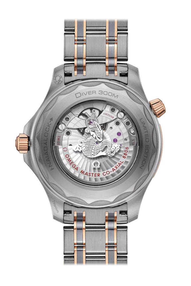 Omega Seamaster Diver 300M