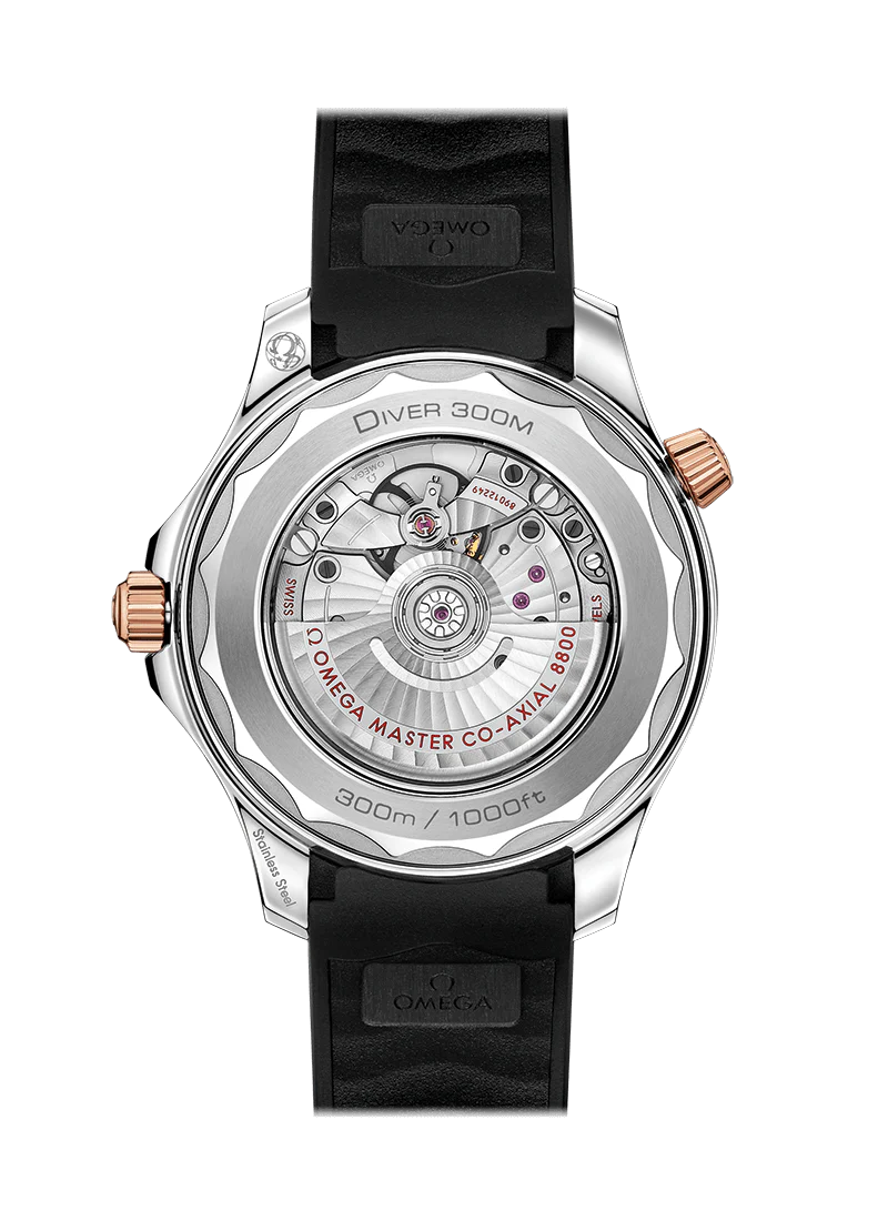 Omega Seamaster Planet Ocean